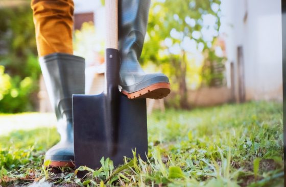 A person's feet, in garden boots, with one resting on top of a shovel, in an outdoor garden setting. 